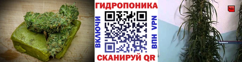 Canna-Cookies конопля  закладки  Нерчинск 