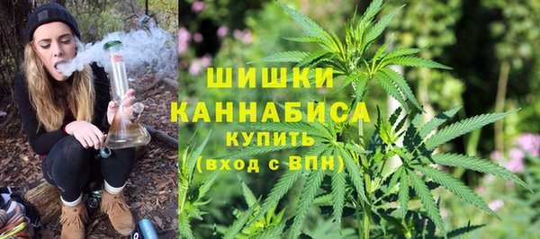 сатива Бугульма