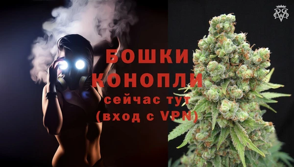 сатива Бугульма